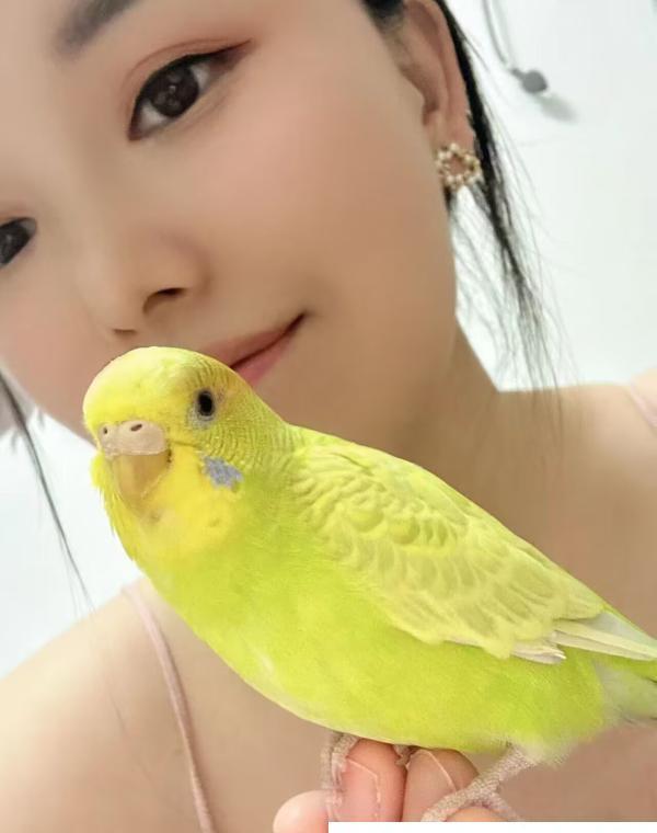 江岸个人半套小姐姐