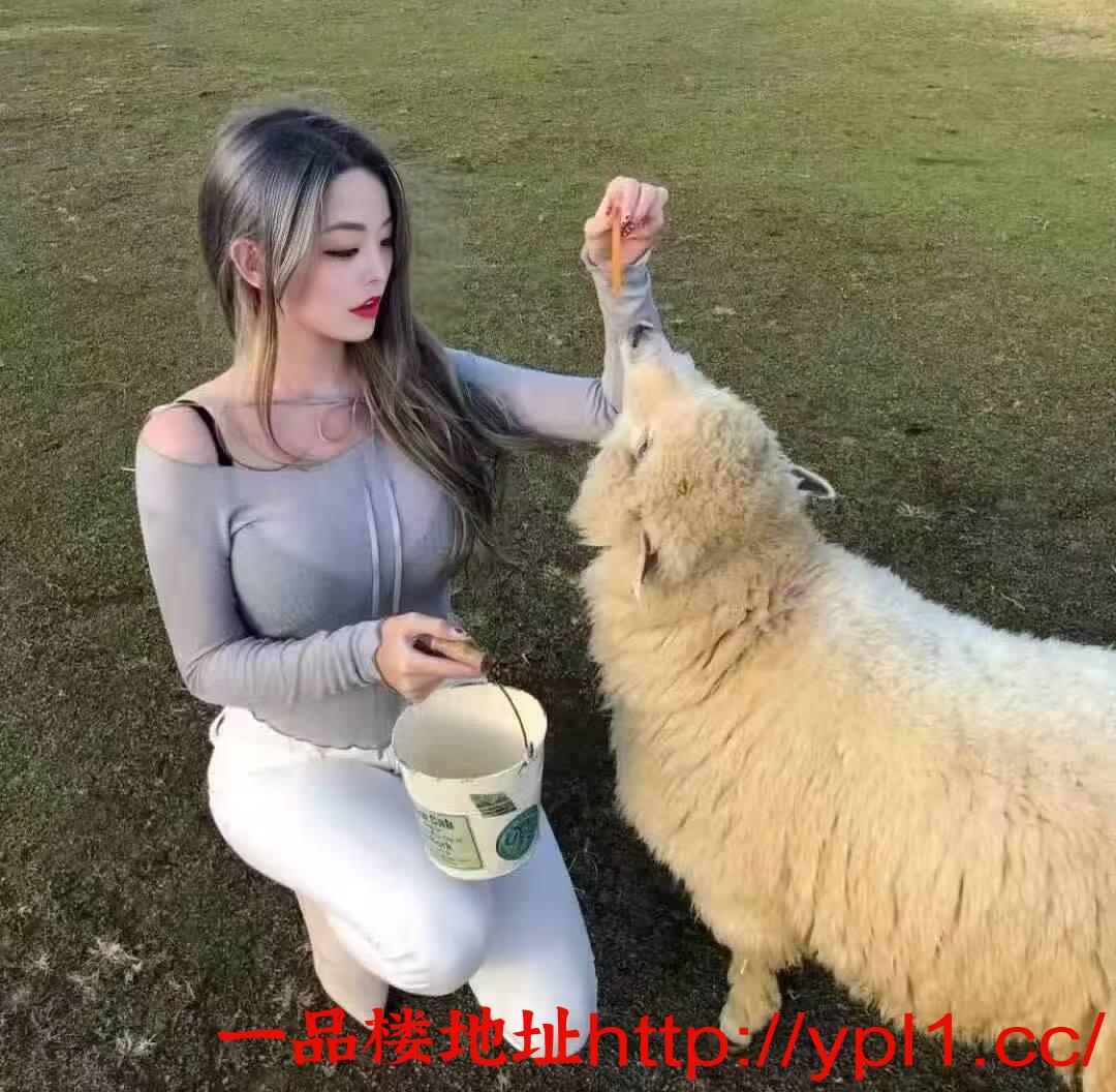 白领兼职刚下海巨乳花魁