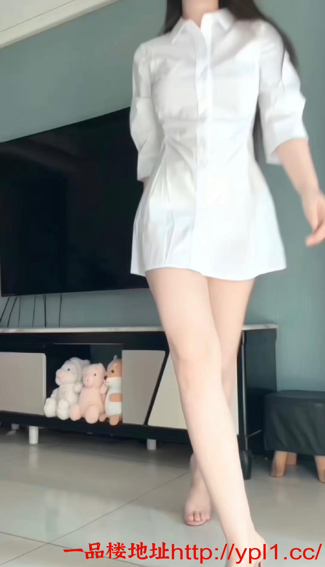 江阳暑假兼职小猫咪