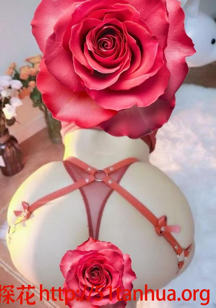 胸大腿长又骚又浪